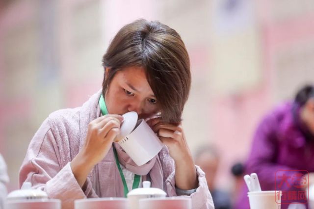 357百科 | 买茶先学识茶,在家自习品鉴普洱茶攻略