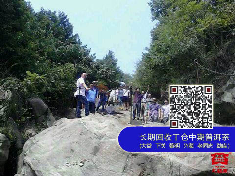 大益集团员工团队建设活动精彩开展