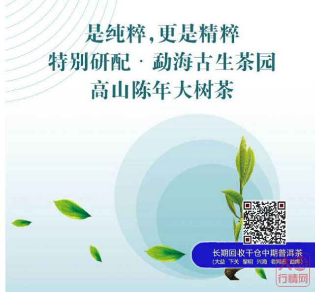 大益新孔雀系列横空出世