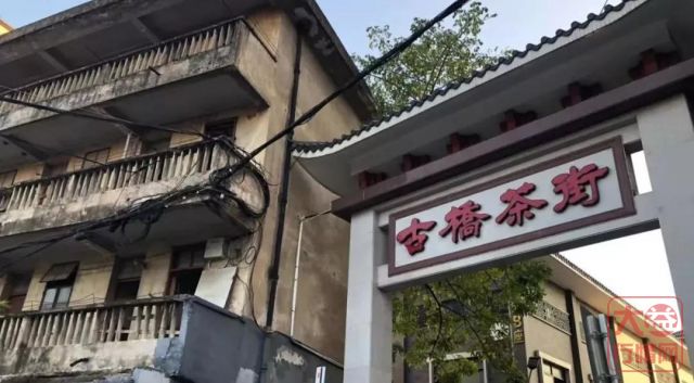 先抑后扬 深入解读大益2020年市场战略