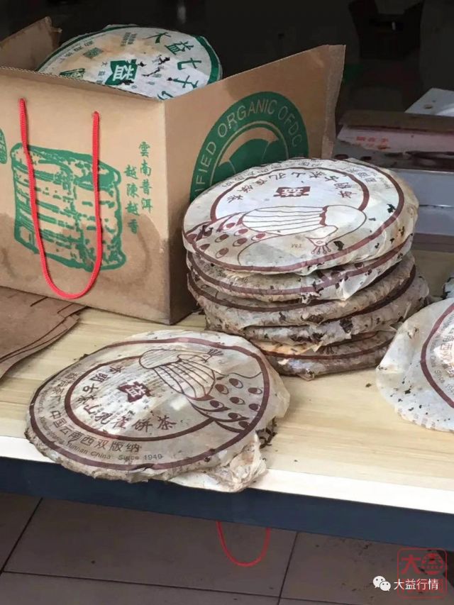 暴雨水淹东莞万江,50万大益601布朗孔雀泡水,商户损失惨重,大益茶市将迎来暴涨?