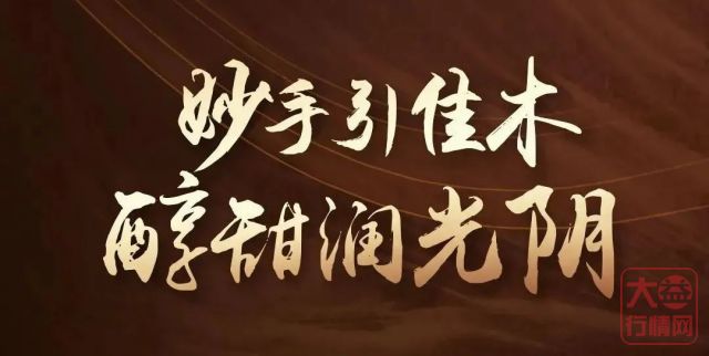 沙盘推演 大益经销商体系对大益茶市的影响
