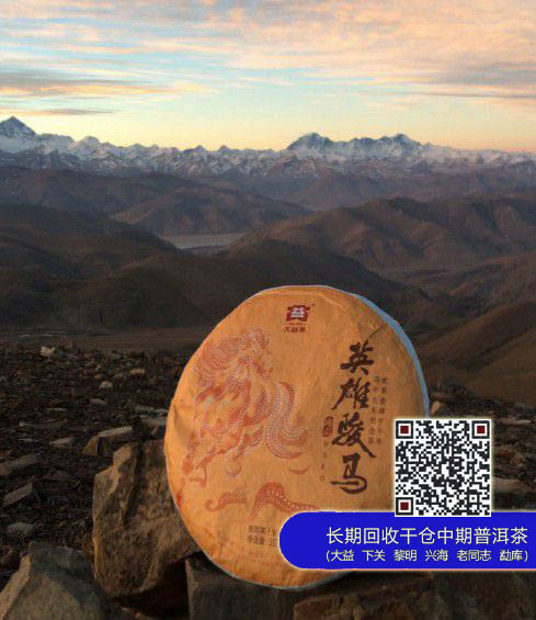 《大益E读本》为你的茶生活增添欢乐
