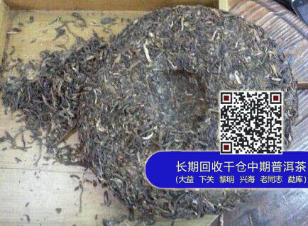 【新品预告】大益1401批金色乔木生饼