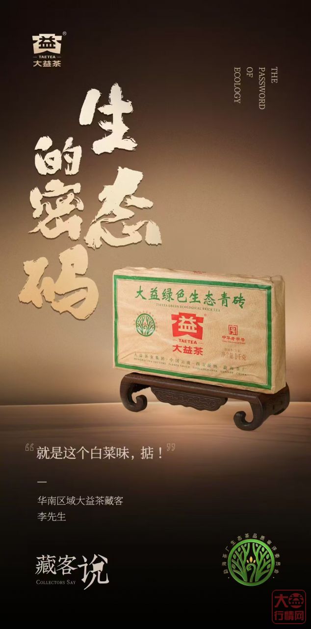 大益 2501 绿色生态青砖发布会总结报告