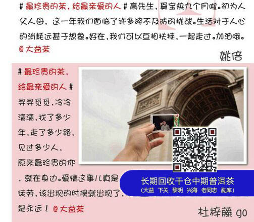大益新孔雀系列横空出世