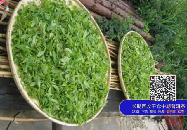 【大益茶】新手游茶山指南