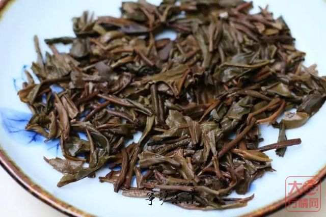 大益中期茶系列-2010年大益珍藏亚运