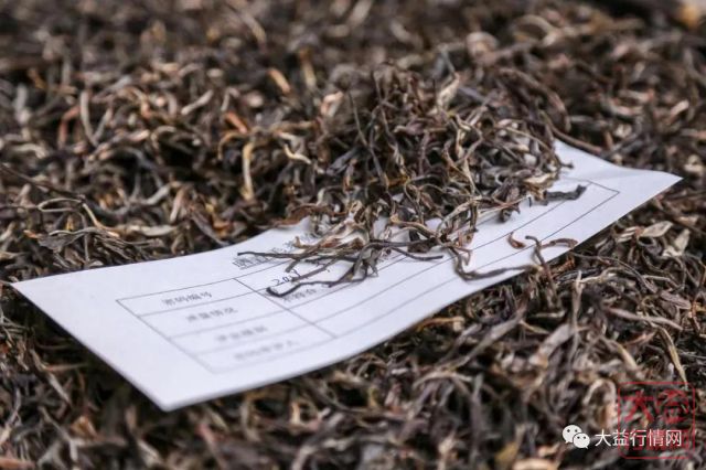 游走于名山古寨之间——大益明星茶背后的故事