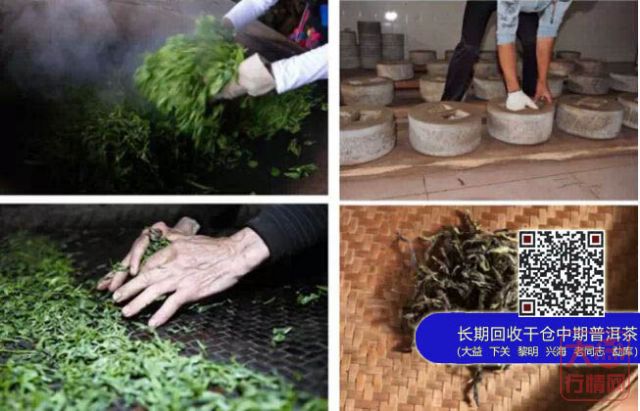 【大益茶】新手游茶山指南