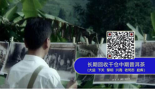 纪录片《心·传》 ： 一饼大益普洱茶的生命故事