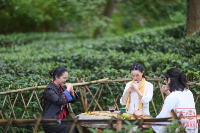 科研工作者泡茶,和我们泡的茶有何不同?