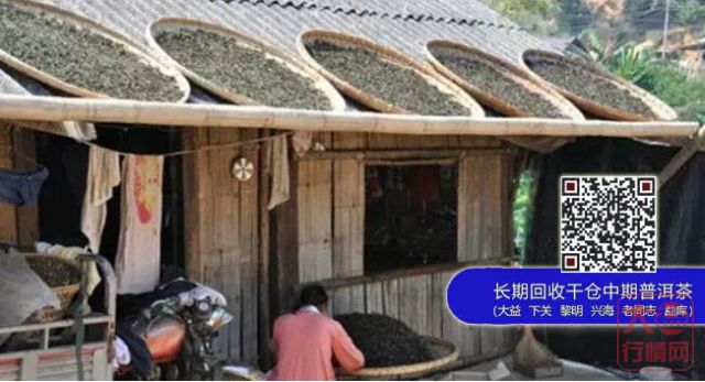 【大益茶】新手游茶山指南