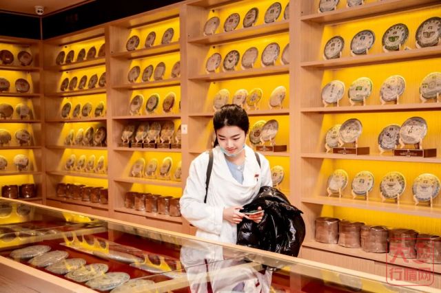 勐海茶厂“茶源朝圣之旅”火爆，趁着暑期快来打卡吧！