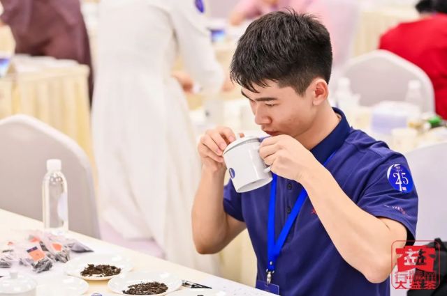 大益论茶烽烟再起,国内外300位高手角