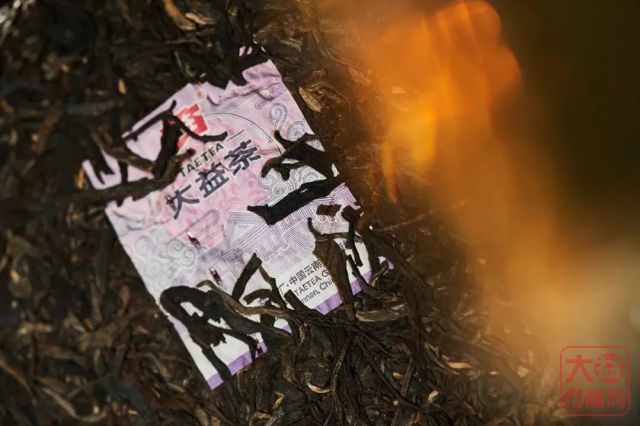 “未来五年”对大益集团以及大益茶市都很关键!