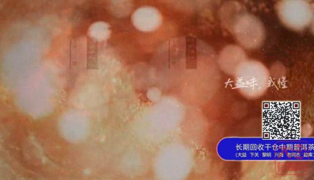 大益茶2013年度品牌广告片视频