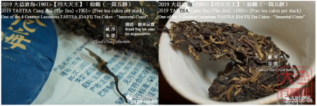 2019 大益【四大天王】仙鹤沧海<1901> (2020年8月28日)