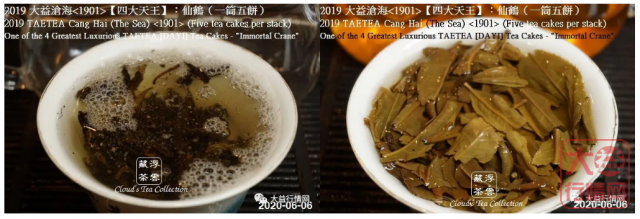 2019 大益【四大天王】仙鹤沧海<1901> (2020年8月28日)