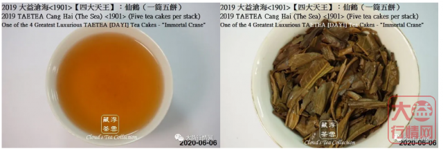 2019 大益【四大天王】仙鹤沧海<1901> (2020年8月28日)