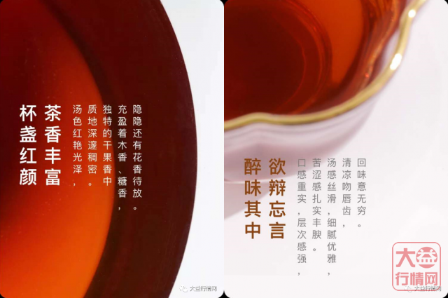 春秋大义——走向世界的大益茶（下）