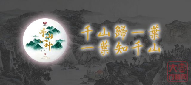 四年蝉联 | 大益的主场，千山一叶的爆发