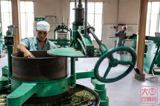 勐海茶厂春茶开收 | 初制所软硬件升级换代,严把原料入库第一关