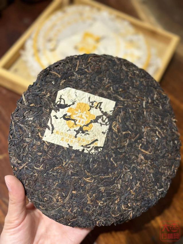标题:《301黄大益青饼》品茶记