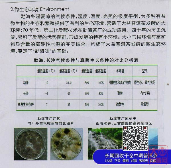 大益茶第三代发酵技术“黑马”曝光