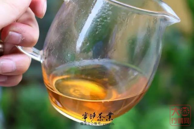 大益行情网：大益中期茶系列-2013年 大益 早春乔木 生