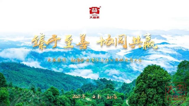 2021大益原料供应商大会召开:以“臻于至善”精神,为大家献上好茶