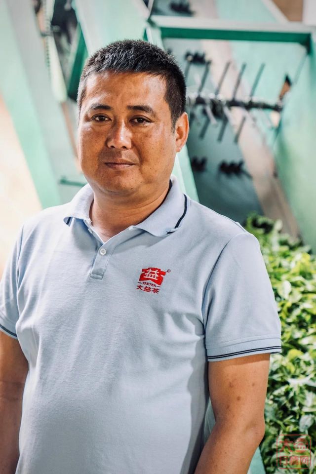 勐海茶厂春茶开收 | 初制所软硬件升级换代,严把原料入库第一关