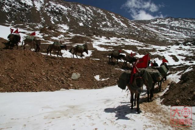 善业常青，勐海茶厂历经78载风雨越走越强！