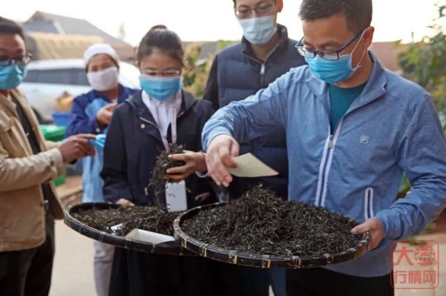 大益茶文化专题篇||以茶为媒，走向共同富裕