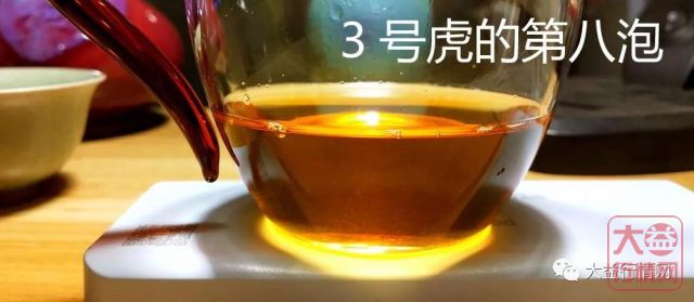 虎啸龙吟:大益生肖饼之首 瑞虎呈祥(一)