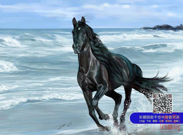 全国各大茶叶市场展开追逐大益“骏马”之形势