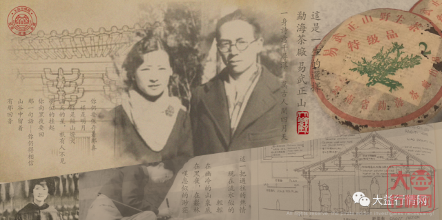 大益茶的情怀——大师时代的文化价值(下)