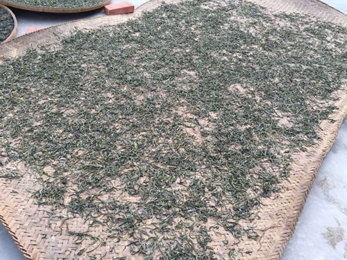 大益普洱茶投资分析：从源头分析，为什么古树茶泡沫难挤？