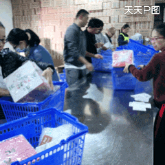 1天里，销量9000万！大益茶连续4年荣居天猫双11茶行业销售冠军