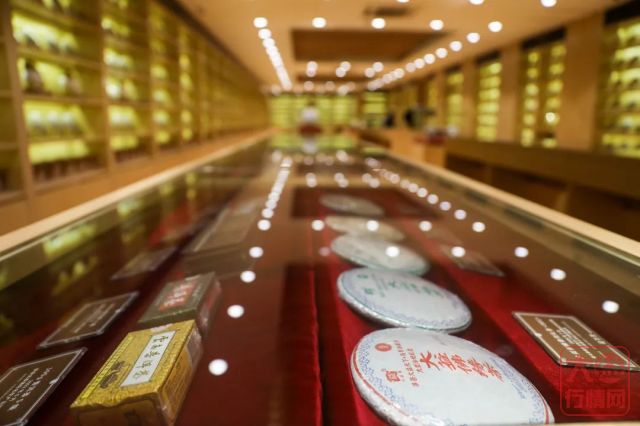 勐海茶厂“茶源朝圣之旅”火爆，趁着暑期快来打卡吧！