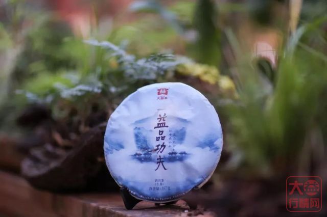 大益茶 | 12月丰富中落幕,新一年再启华章