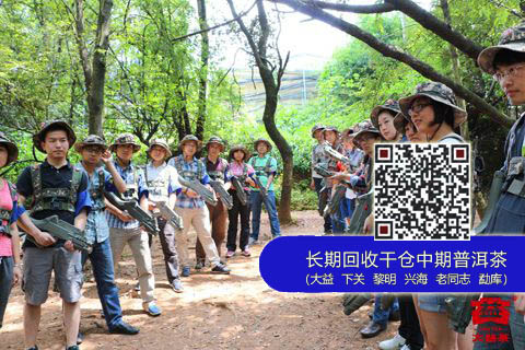 大益集团员工团队建设活动精彩开展
