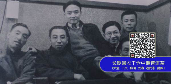 解读大益2013年新版广告