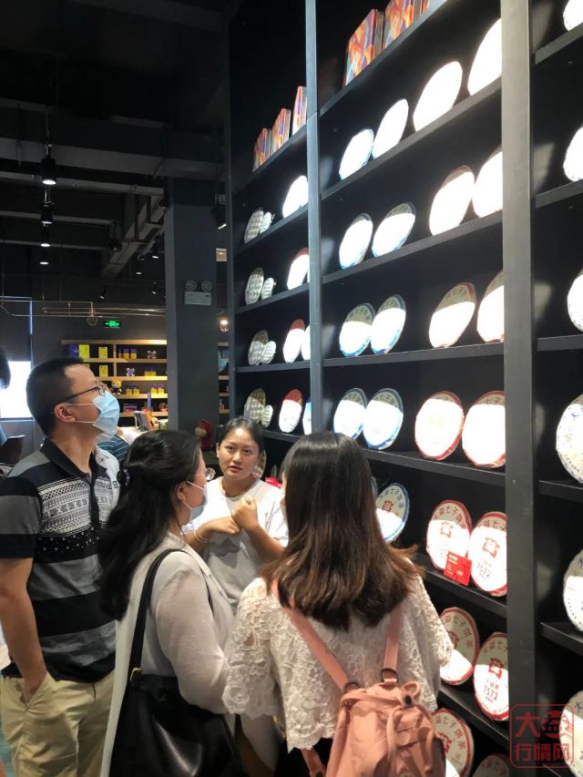 勐海茶厂“茶源朝圣之旅”火爆，趁着暑期快来打卡吧！