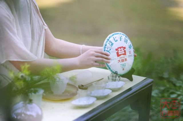 7582主题茶席 | 初夏时节,如何展示一款广受茶友追捧的经典生茶?