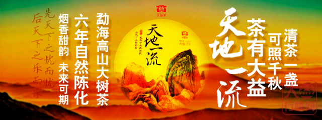 乘风而起的姊妹篇——天地一流与吾心光明(下)