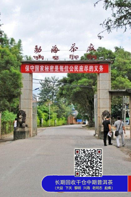 “大益”树立行业标杆 对话大益馆馆长吴坤雄