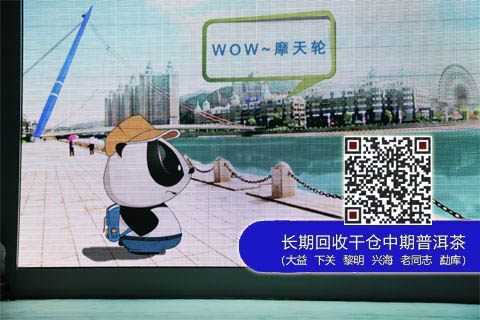 2013大益嘉年华大连浪漫启动