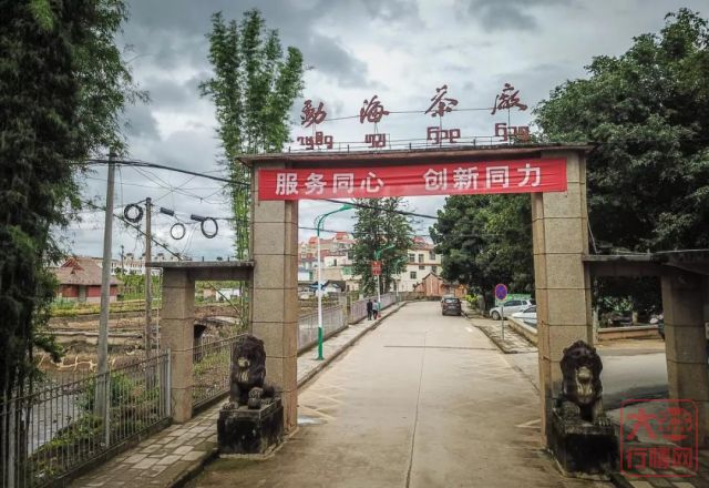 大益中茶联合打假，微肃市场，绝不妥协！