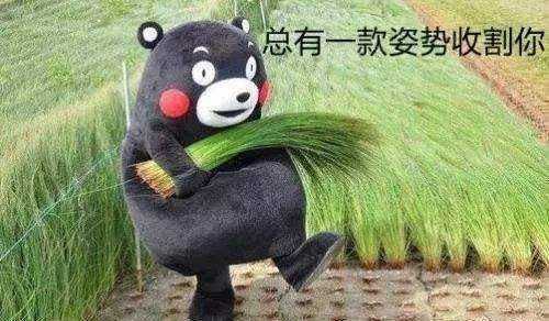 2019大益投资市场展望：长风破浪，披荆斩棘，直上云霄！ 